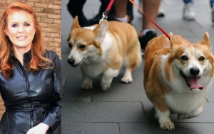 Sarah Ferguson Says Queen Elizabeth II's Corgis Are Still Mourning Her Death