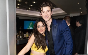 Shawn Mendes and Camila Cabello Caught Locking Lips at Coachella One Year After Breakup