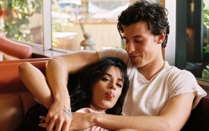 Shawn Mendes and Camila Cabello's 'Special Connection' Explained After Their PDA at Coachella