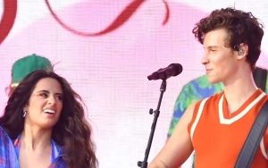 Shawn Mendes and Camila Cabello Not 'Officially Back Together' Despite PDA