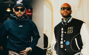 Chris Brown and Usher Perform at Love and Friends Festival Despite Alleged Altercation