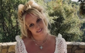 Britney Spears' Lawyer Works for Free for Her After Her Camp Question His Massive Fees