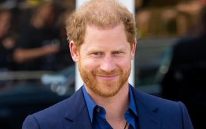 Prince Harry Accuses British Press of Colluding With Government to Maintain 'Status Quo'