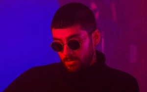 Zayn Malik Sets Internet Abuzz After Posting a Series of Rare Pics on Instagram: 'Is This a Dream?'