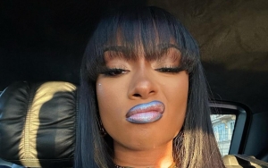 Megan Thee Stallion Sports Barely-There Bikini in Racy TikTok Video