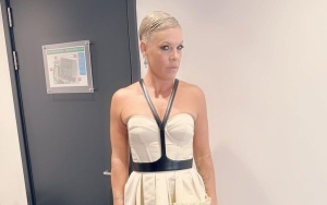 Pink Shocked When Fan Threw Their Mom's Ashes on Stage