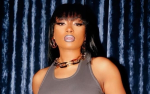 Megan Thee Stallion Debuts New Frosty Blue Hair in Racy Photos