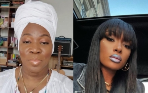 India.Arie Shows Love to Megan Thee Stallion and Janelle Monae Despite Criticizing Their Performance