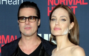 Brad Pitt 'Furious' After Being Mocked as 'Not Winemaker' in Legal Docs