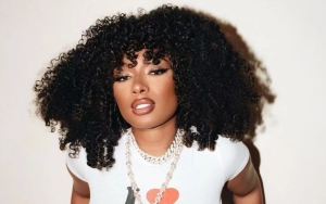Megan Thee Stallion Drops F-Bomb as She Flips the Bird at 'Haters' While on Stage