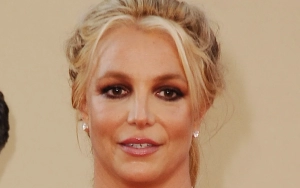 Britney Spears Says She's 'Buying a Horse Soon' in First Post Since Sam Asghari Divorce
