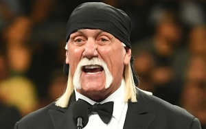 Hulk Hogan Recalls Past Painkiller Addiction: 'It Became a Vicious Cycle'