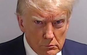 Donald Trump Frowns in His Mugshot After Surrendering in Georgia Elections Case