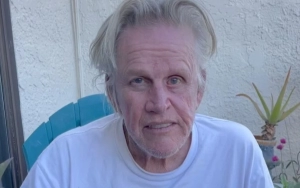 Gary Busey May Need to Retake Driving Test Following Alleged Hit-and-Run