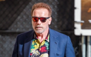 Arnold Schwarzenegger Burned Daughter's Shoes, Threw Son's Mattress When Losing His Patience