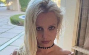 Britney Spears Buys Gucci Bikini for Her Dog