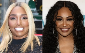 NeNe Leakes and Former BFF Cynthia Bailey Squash Their Beef After Friendly Reunion