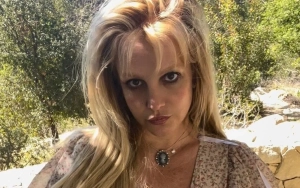 Britney Spears Admits Her Passion to Perform Live 'Has Lessened'