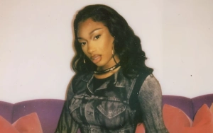 Megan Thee Stallion Unleashes Risque Picture to Tease New Single 'Cobra'