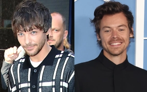 Louis Tomlinson Claps Back at Fan Over 'Ridiculous' Theory About 'Larry'