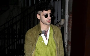 Zayn Malik Writing Music for New Animated Movie '10 Lives'