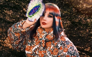 Bjork Gushes Over Iceland as Place to Live With 'Not Much Hierarchy'
