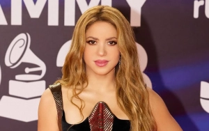 Shakira Goes Daring in Black and Gold Dress on Red Carpet at 2023 Latin Grammy Awards