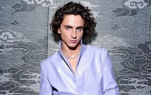 Timothee Chalamet Gets Mixed Responses After Channeling Willy Wonka at Movie's Premiere