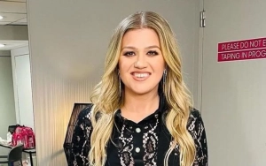 Kelly Clarkson Opens Up About Standing Up Against 'Vicious' Person in the Industry