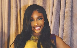 SZA's Music Success Driven by Her Desire to 'Prove a Point' to Ex-Fiance