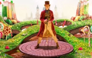 'Wonka' Dubbed the 'Perfect Christmas Movie' by Director