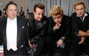 Elon Musk Takes Aim at Green Day for Slamming Donald Trump During NYE Performance