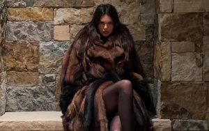 Kendall Jenner Sets Pulse Racing With New Sizzling Photos During Tropical Getaway