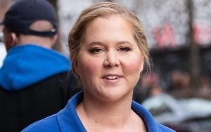 Amy Schumer Cheerfully Poses Sans Top in Bathroom in New Photo