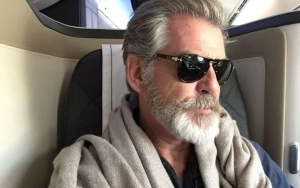 Pierce Brosnan Pleads Not Guilty to Entering Prohibited Areas of Yellowstone Park