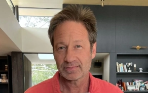 David Duchovny Believes 'Electric Light' Is Dangerous