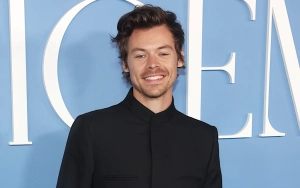 Harry Styles' Alleged Stalker Charged for Causing 'Distress' as Singer Is 'Shaken Up'