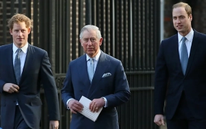 Prince Harry and Prince William May End Feud Amid King Charles' Cancer Battle