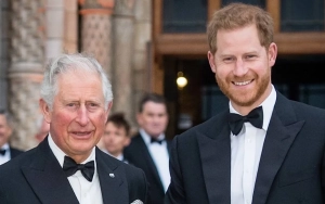 King Charles Delays Travel Plans to Meet Prince Harry After He Returned to the U.K. 
