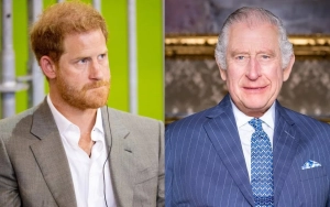 Prince Harry Willing to Return to Royal Duties Amid King Charles' Cancer Diagnosis on Condition