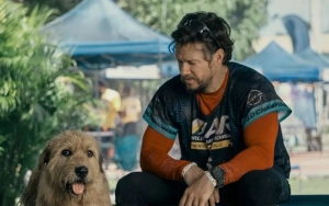 Mark Wahlberg Tried to 'Bribe' 'Arthur the King' Dog Trainer to Do This