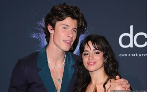 Camila Cabello Insinuates Her New Album Is Inspired by Emotional Split From Shawn Mendes
