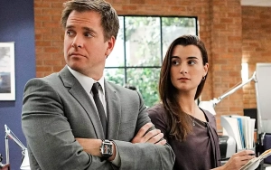 Cote de Pablo and Michael Weatherly to Reunite for 'NCIS' Spin-Off