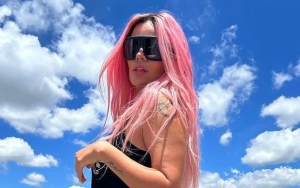 Karol G's Private Jet Smoking After Making Emergency Landing at Van Nuys