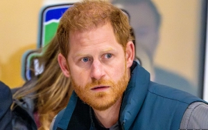 Judge Seeks to Review Prince Harry's Immigration Docs