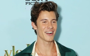 Shawn Mendes Announces New Gig, Teases New Album After Canceling Tour