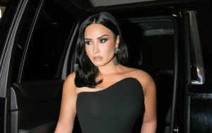 Demi Lovato Stops Seeking Validation on Internet, Feels Compassion for Online Trolls