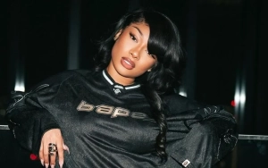 Megan Thee Stallion Reacts After Racy Tour Announcement Gets Restricted on Instagram