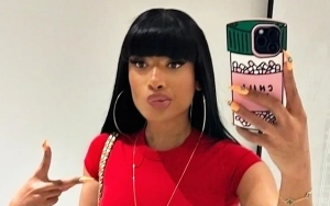 Megan Thee Stallion Makes Jaws Drop in Risque Top at Lakers Game