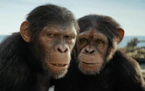 'Apes' Roam Venice Beach for 'Kingdom of the Planet of the Apes' Promo